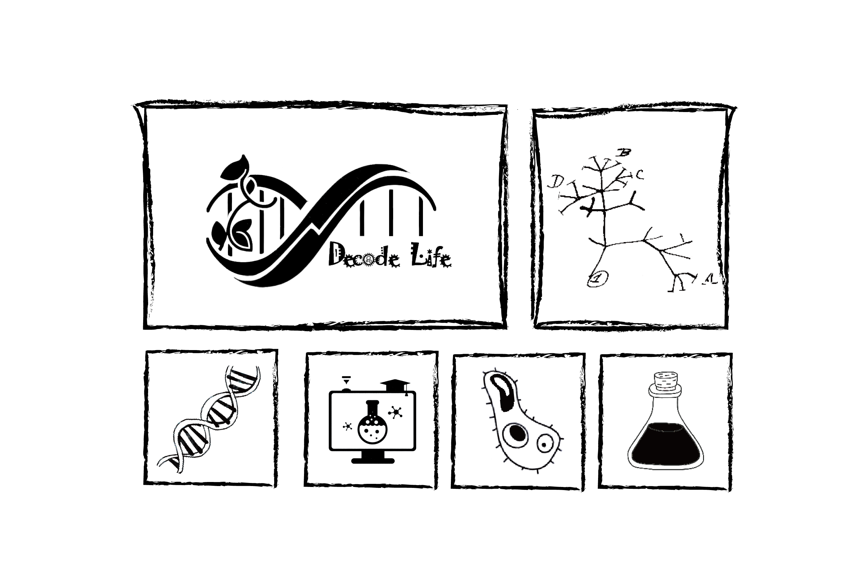 Research content